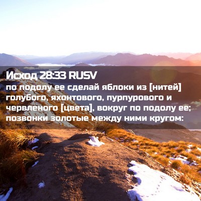 Picture 02 - Исход 28:33 RUSV - по подолу ее сделай яблоки - Bible Verse Picture