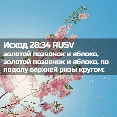 Picture 02 - Исход 28:34 RUSV - золотой позвонок и яблоко, - Bible Verse Picture