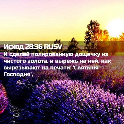 Picture 02 - Исход 28:36 RUSV - И сделай полированную - Bible Verse Picture