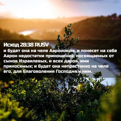Picture 02 - Исход 28:38 RUSV - и будет она на челе - Bible Verse Picture