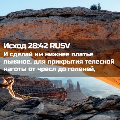 Picture 02 - Исход 28:42 RUSV - И сделай им нижнее платье - Bible Verse Picture