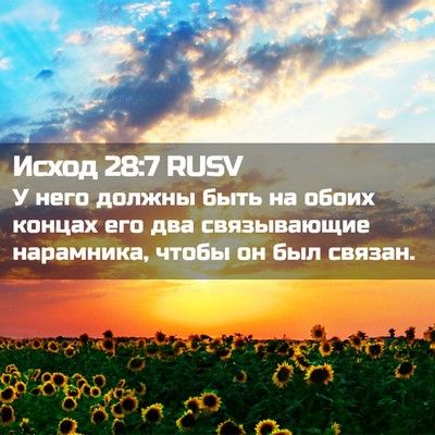 Picture 02 - Исход 28:7 RUSV - У него должны быть на обоих - Bible Verse Picture