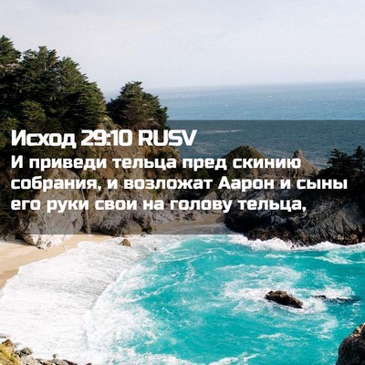 Picture 02 - Исход 29:10 RUSV - И приведи тельца пред - Bible Verse Picture