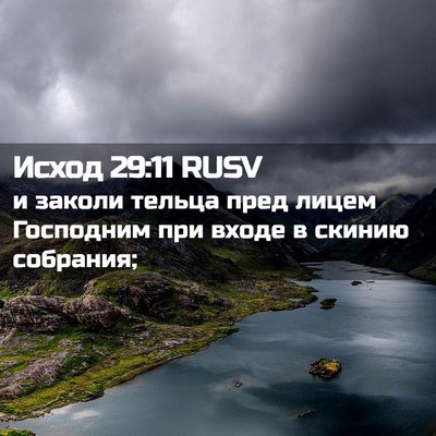 Picture 02 - Исход 29:11 RUSV - и заколи тельца пред лицем - Bible Verse Picture
