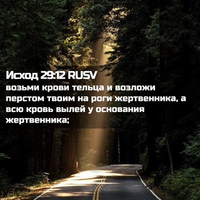 Picture 02 - Исход 29:12 RUSV - возьми крови тельца и - Bible Verse Picture