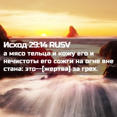 Picture 02 - Исход 29:14 RUSV - а мясо тельца и кожу его и - Bible Verse Picture