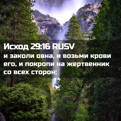 Picture 02 - Исход 29:16 RUSV - и заколи овна, и возьми - Bible Verse Picture