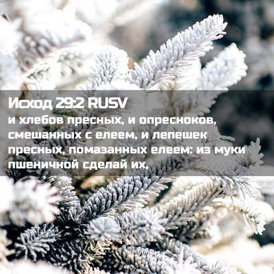 Picture 02 - Исход 29:2 RUSV - и хлебов пресных, и - Bible Verse Picture