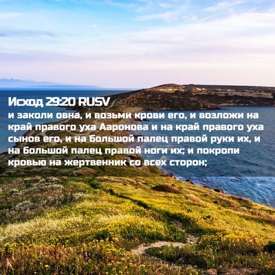Picture 02 - Исход 29:20 RUSV - и заколи овна, и возьми - Bible Verse Picture