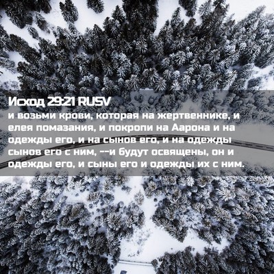 Picture 02 - Исход 29:21 RUSV - и возьми крови, которая на - Bible Verse Picture