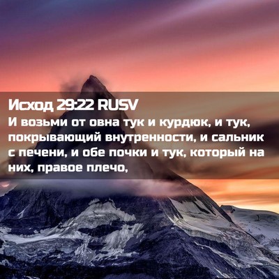 Picture 02 - Исход 29:22 RUSV - И возьми от овна тук и - Bible Verse Picture