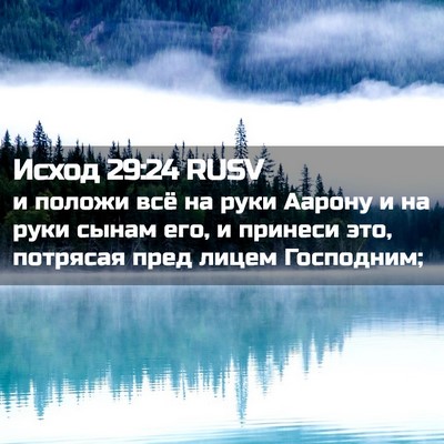 Picture 02 - Исход 29:24 RUSV - и положи всё на руки Аарону - Bible Verse Picture