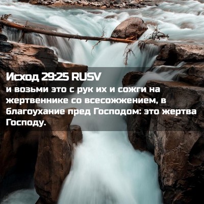 Picture 02 - Исход 29:25 RUSV - и возьми это с рук их и - Bible Verse Picture