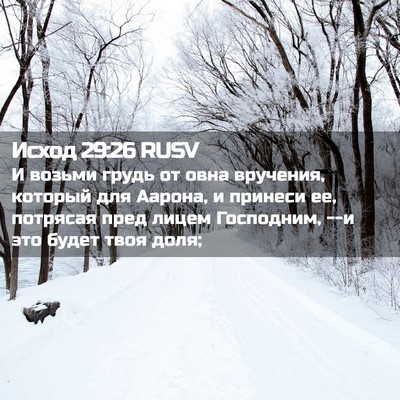 Picture 02 - Исход 29:26 RUSV - И возьми грудь от овна - Bible Verse Picture