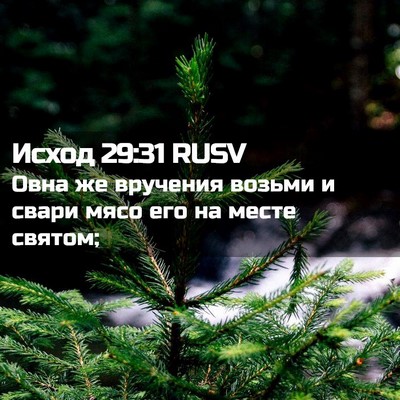 Picture 02 - Исход 29:31 RUSV - Овна же вручения возьми и - Bible Verse Picture