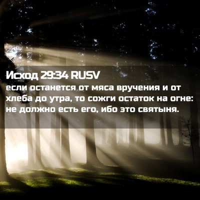 Picture 02 - Исход 29:34 RUSV - если останется от мяса - Bible Verse Picture