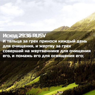 Picture 02 - Исход 29:36 RUSV - И тельца за грех приноси - Bible Verse Picture