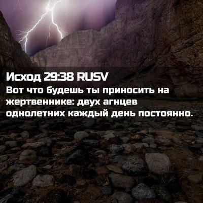 Picture 02 - Исход 29:38 RUSV - Вот что будешь ты - Bible Verse Picture