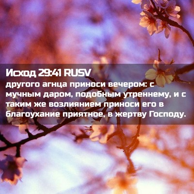 Picture 02 - Исход 29:41 RUSV - другого агнца приноси - Bible Verse Picture
