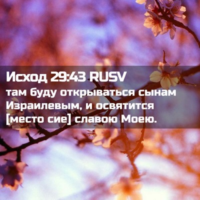 Picture 02 - Исход 29:43 RUSV - там буду открываться сынам - Bible Verse Picture