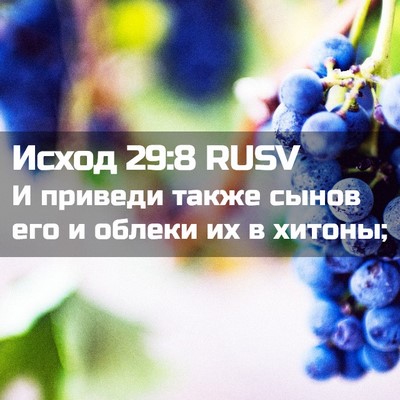 Picture 02 - Исход 29:8 RUSV - И приведи также сынов его и - Bible Verse Picture