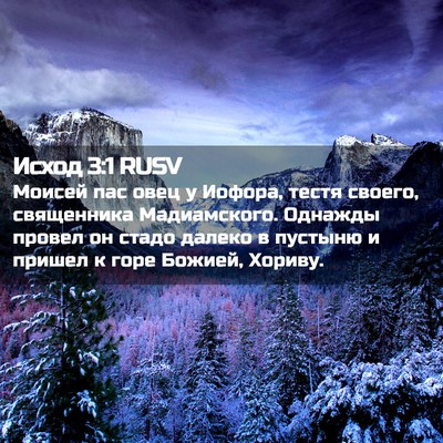 Picture 02 - Исход 3:1 RUSV - Моисей пас овец у Иофора, - Bible Verse Picture