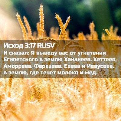 Picture 02 - Исход 3:17 RUSV - И сказал: Я выведу вас от - Bible Verse Picture