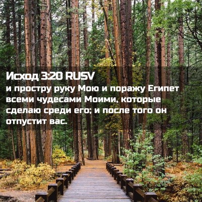 Picture 02 - Исход 3:20 RUSV - и простру руку Мою и поражу - Bible Verse Picture