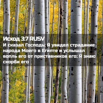 Picture 02 - Исход 3:7 RUSV - И сказал Господь: Я увидел - Bible Verse Picture