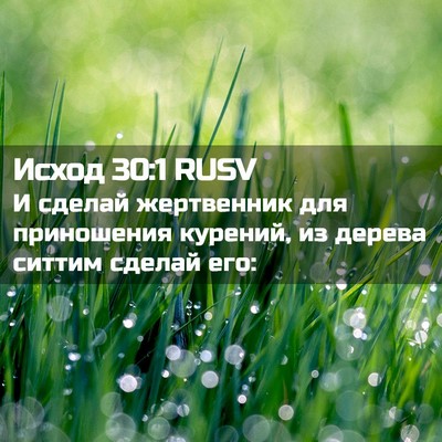 Picture 02 - Исход 30:1 RUSV - И сделай жертвенник для - Bible Verse Picture