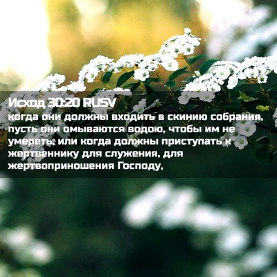 Picture 02 - Исход 30:20 RUSV - когда они должны входить в - Bible Verse Picture