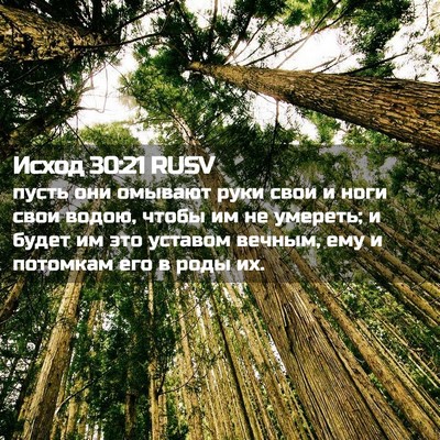 Picture 02 - Исход 30:21 RUSV - пусть они омывают руки - Bible Verse Picture