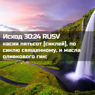 Picture 02 - Исход 30:24 RUSV - касии пятьсот [сиклей], по - Bible Verse Picture