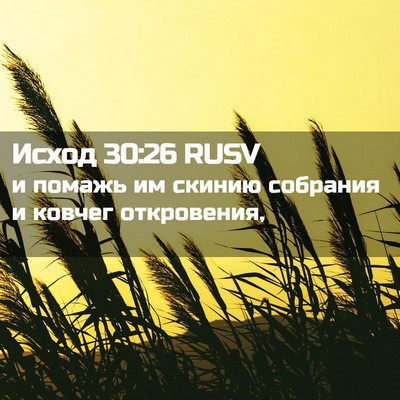 Picture 02 - Исход 30:26 RUSV - и помажь им скинию - Bible Verse Picture