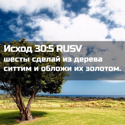 Picture 02 - Исход 30:5 RUSV - шесты сделай из дерева - Bible Verse Picture