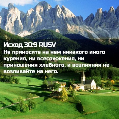 Picture 02 - Исход 30:9 RUSV - Не приносите на нем - Bible Verse Picture