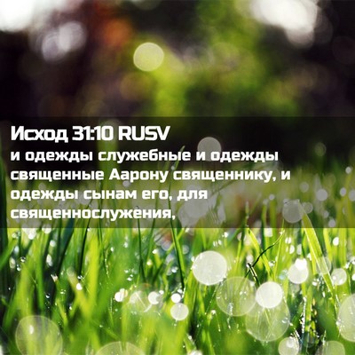 Picture 02 - Исход 31:10 RUSV - и одежды служебные и - Bible Verse Picture
