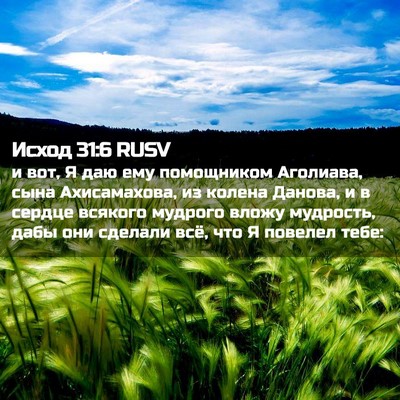 Picture 02 - Исход 31:6 RUSV - и вот, Я даю ему помощником - Bible Verse Picture