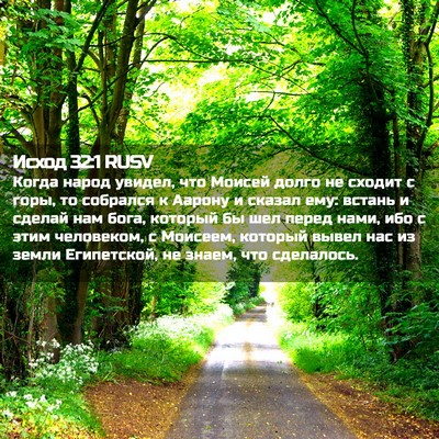 Picture 02 - Исход 32:1 RUSV - Когда народ увидел, что - Bible Verse Picture