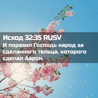 Picture 02 - Исход 32:35 RUSV - И поразил Господь народ за - Bible Verse Picture