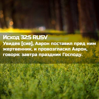 Picture 02 - Исход 32:5 RUSV - Увидев [сие], Аарон - Bible Verse Picture