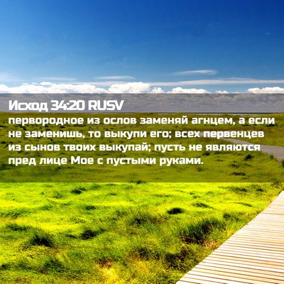 Picture 02 - Исход 34:20 RUSV - первородное из ослов - Bible Verse Picture