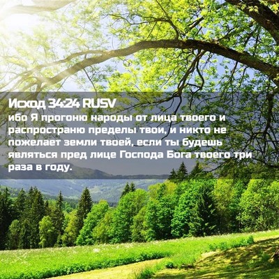 Picture 02 - Исход 34:24 RUSV - ибо Я прогоню народы от - Bible Verse Picture