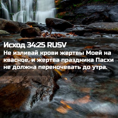 Picture 02 - Исход 34:25 RUSV - Не изливай крови жертвы - Bible Verse Picture