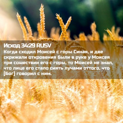 Picture 02 - Исход 34:29 RUSV - Когда сходил Моисей с горы - Bible Verse Picture