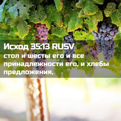 Picture 02 - Исход 35:13 RUSV - стол и шесты его и все - Bible Verse Picture