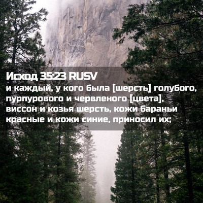 Picture 02 - Исход 35:23 RUSV - и каждый, у кого была - Bible Verse Picture
