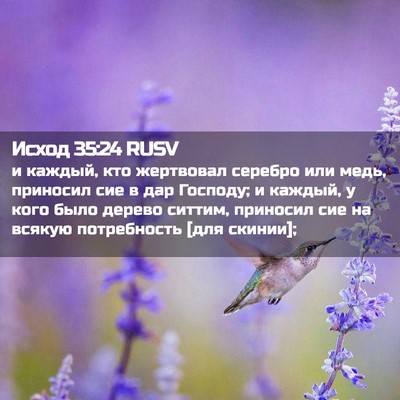 Picture 02 - Исход 35:24 RUSV - и каждый, кто жертвовал - Bible Verse Picture