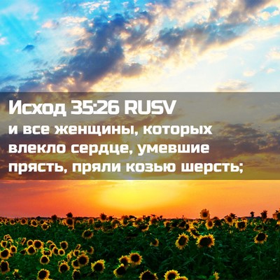 Picture 02 - Исход 35:26 RUSV - и все женщины, которых - Bible Verse Picture