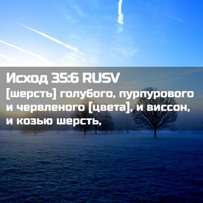 Picture 02 - Исход 35:6 RUSV - [шерсть] голубого, - Bible Verse Picture